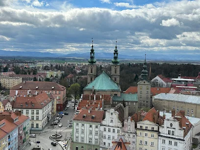 Wieża Kaiser-Franz-Josef-Warte (wieża widokowa cesarza Franciszka Józefa, na Biskupiej Kopie)